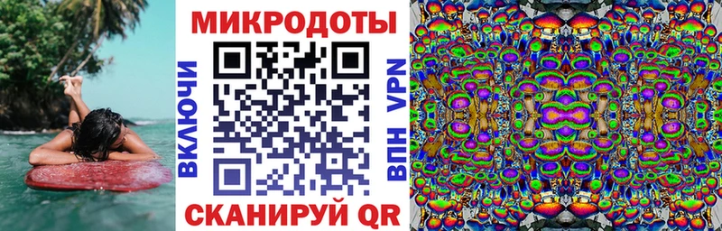 Галлюциногенные грибы Psilocybine cubensis  Купить  Подольск 